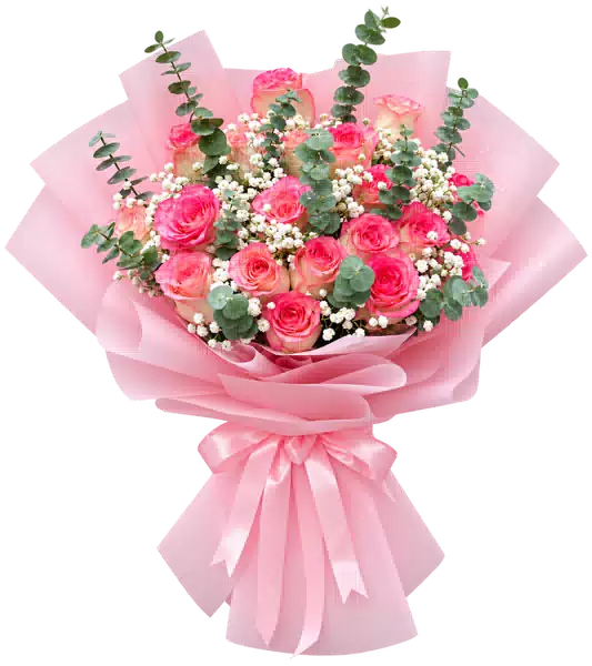 Bó Hoa Hồng Phấn Gói Hồng