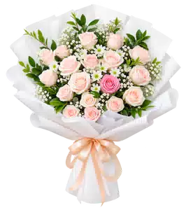 Bó Hoa Hồng Phấn Phối Cúc Trắng Gói Trắng
