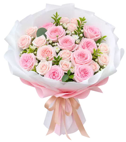 Bó Hoa Hồng Phấn Phối Mẫu Đơn Gói Trắng