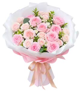 Bó Hoa Hồng Phấn Phối Mẫu Đơn Gói Trắng
