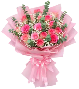 Bó Hoa Hồng Phấn Viền Đậm