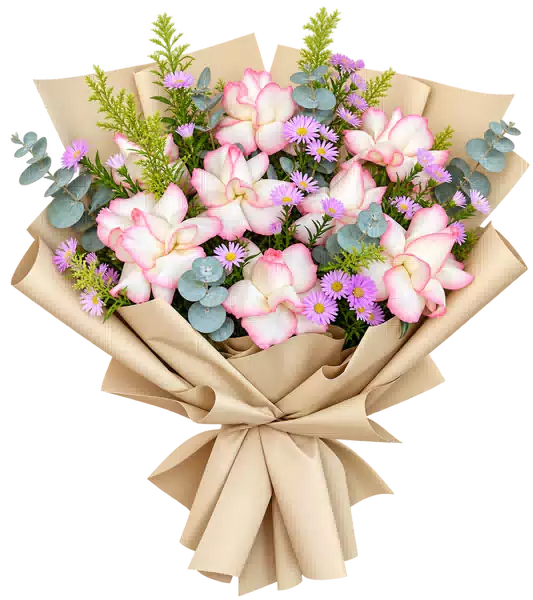 Bó Hoa Hồng Trắng Viền Hồng