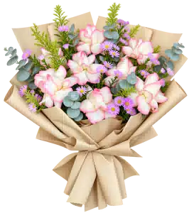 Bó Hoa Hồng Trắng Viền Hồng