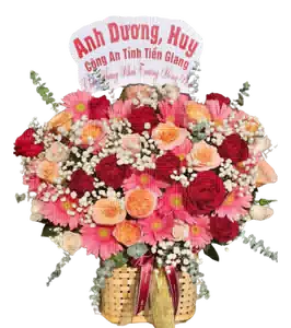 Giỏ Hoa Đồng Tiền Hồng phối Hồng Cam Kem