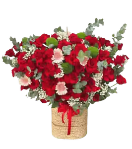 Giỏ Hoa Hồng Đỏ phối Đồng Tiền Hồng Phấn