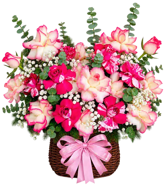 Giỏ Hoa Hồng Tông Đỏ - Hồng