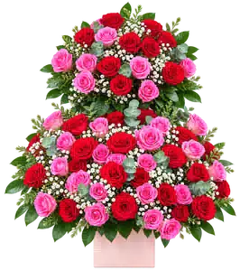 Hộp Hoa Hoa Hồng Tông Đỏ Hồng