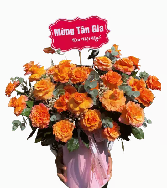 Hộp Hoa Hồng Cam phối Cẩm Chướng Cam