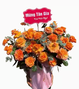 Hộp Hoa Hồng Cam phối Cẩm Chướng Cam