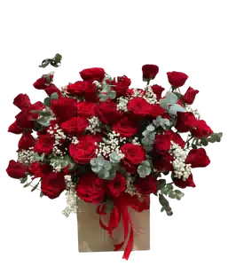 Hộp Hoa Hồng Đỏ phối Baby Trắng và Lá Bạc