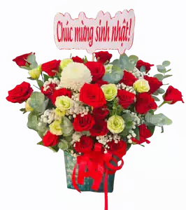 Hộp Hoa Hồng Đỏ phối Hồng Xanh Kem