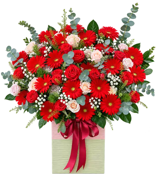 Hộp Hoa Hồng Đỏ Trắng