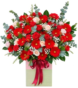 Hộp Hoa Hồng Đỏ Trắng