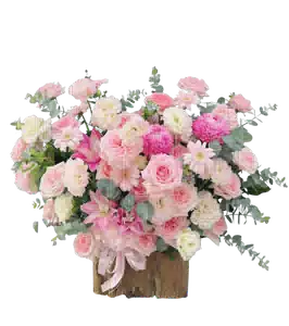 Hộp Hoa Hồng Phấn phối Cúc Hồng