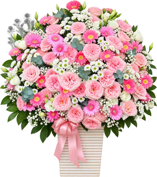 Hộp Hoa Hồng Phối Cúc Và Hoa Phụ Tông Hồng Pastel