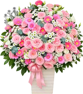 Hộp Hoa Hồng Phối Cúc Và Hoa Phụ Tông Hồng Pastel