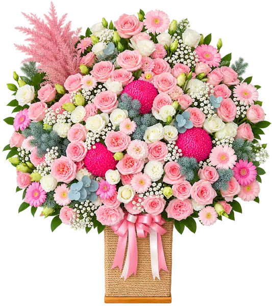 Hộp Hoa Hồng Phối Cúc Và Hoa Phụ Tông Hồng Pastel