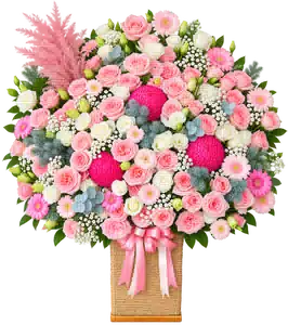 Hộp Hoa Hồng Phối Cúc Và Hoa Phụ Tông Hồng Pastel