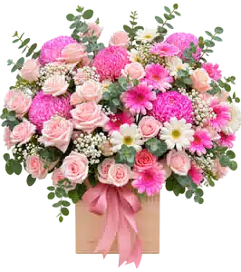 Hộp Hoa Hồng Phối Cúc Và Hoa Phụ Tông Hồng Pastel