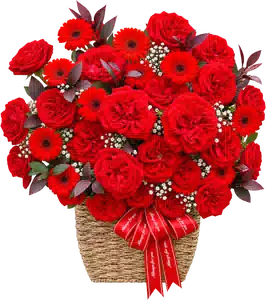 Hộp Hoa Hồng Phối Lily Tông Đỏ
