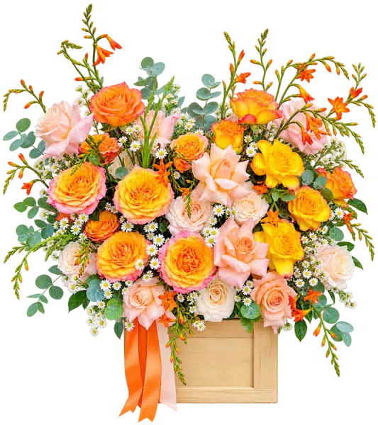 Hộp Hoa Hồng Phối Lily Tông Vàng - Cam