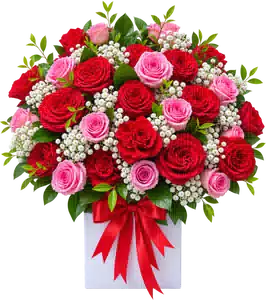 Hộp Hoa Hồng Tông Đỏ