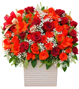 Hộp Hoa Hồng Tông Đỏ