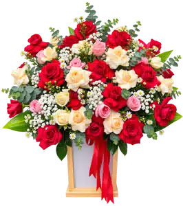 Hộp Hoa Hồng Tông Đỏ - Hồng