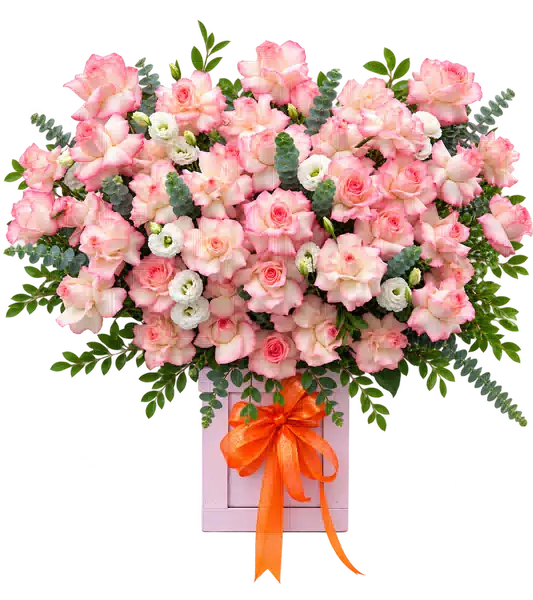 Hộp Hoa Hồng Tông Hồng Pastel