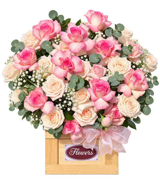 Hộp Hoa Hồng Tông Hồng Pastel
