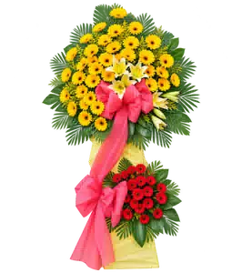 Kệ Hoa Hai Tầng Hồng Phối Đồng Tiền Tông Vàng - Đỏ