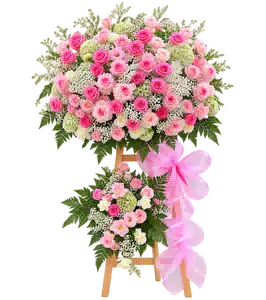 Kệ Hoa Hai Tầng Hồng Tông Hồng