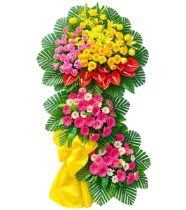 Kệ Hoa Hồng Môn Tông Vàng Hồng