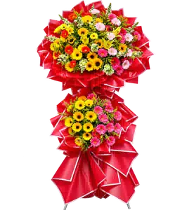 Kệ Hoa Hướng Dương Tông Đỏ Vàng