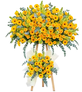Kệ Hoa Hướng Dương Tông Vàng Cam