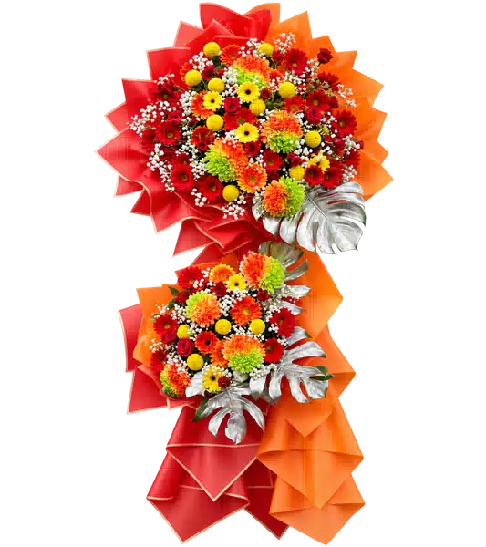 Kệ Hoa Khai Trương Tông Đỏ Cam