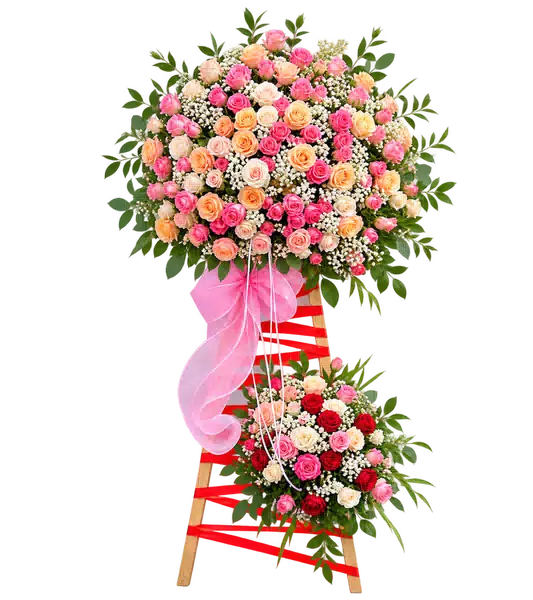 Kệ Hoa Khai Trương Tông Đỏ Cam