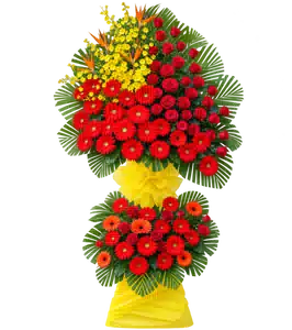 Kệ Hoa Khai Trương Tông Đỏ Vàng