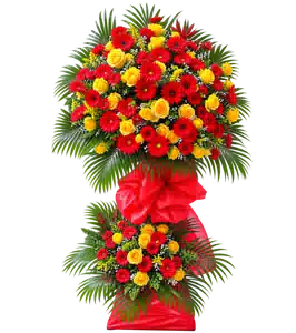 Kệ Hoa Khai Trương Tông Đỏ Vàng