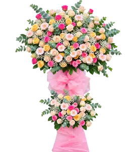 Kệ Hoa Khai Trương Tông Hồng Cam