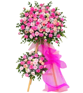 Kệ Hoa Khai Trương Tông Hồng Tím