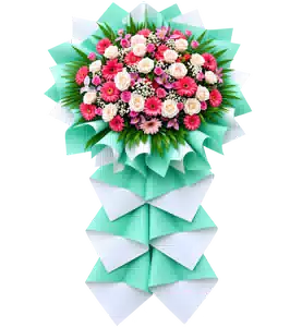 Kệ Hoa Một Tầng Hồng Phối Đồng Tiền Tông Hồng
